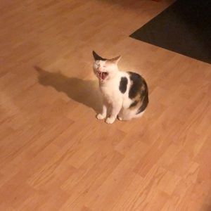 Meet your Posher, Kaitlynn